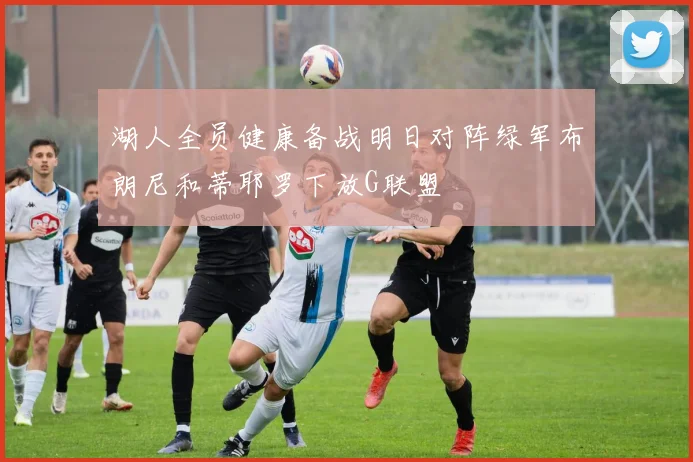 湖人全员健康备战明日对阵绿军布朗尼和蒂耶罗下放G联盟