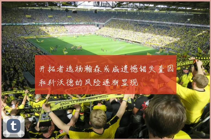 开拓者选杨瀚森或成遗憾错失奎因和科沃德的风险逐渐显现