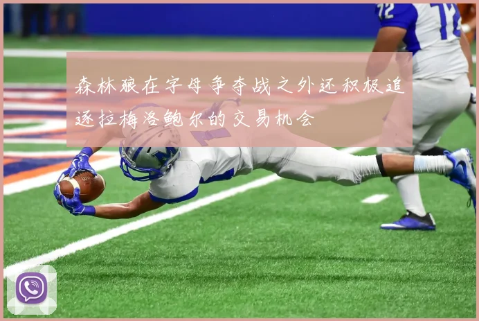 森林狼在字母争夺战之外还积极追逐拉梅洛鲍尔的交易机会